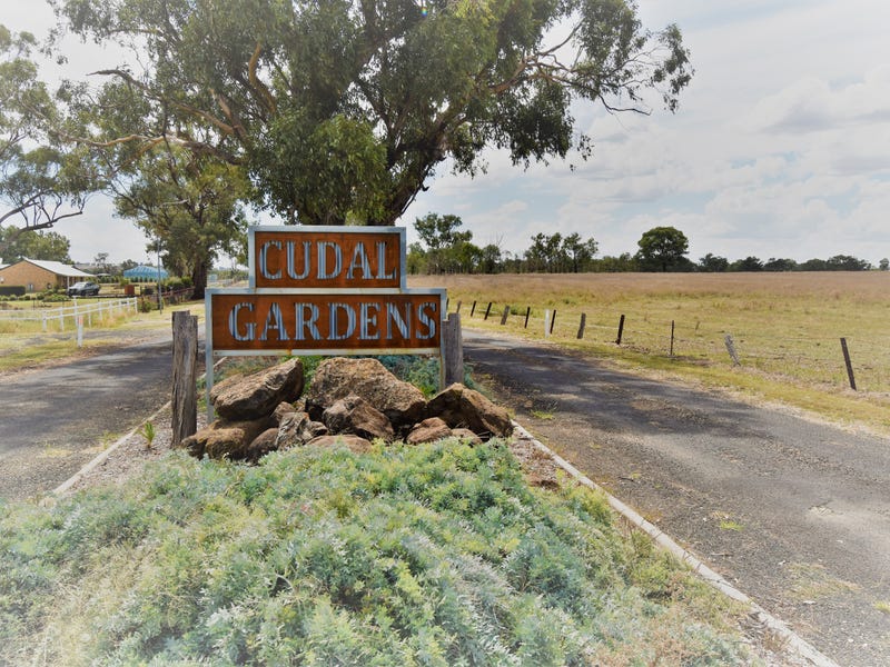 25 Rodda Drive, Cudal, NSW 2864