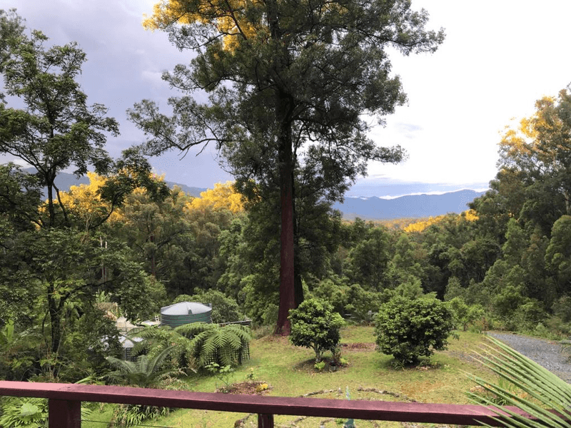 315 Boggy Creek Road, Thora, NSW 2454 House for Sale