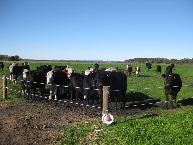 202 Old Port Road, Montagu, Tas 7330 Property Details