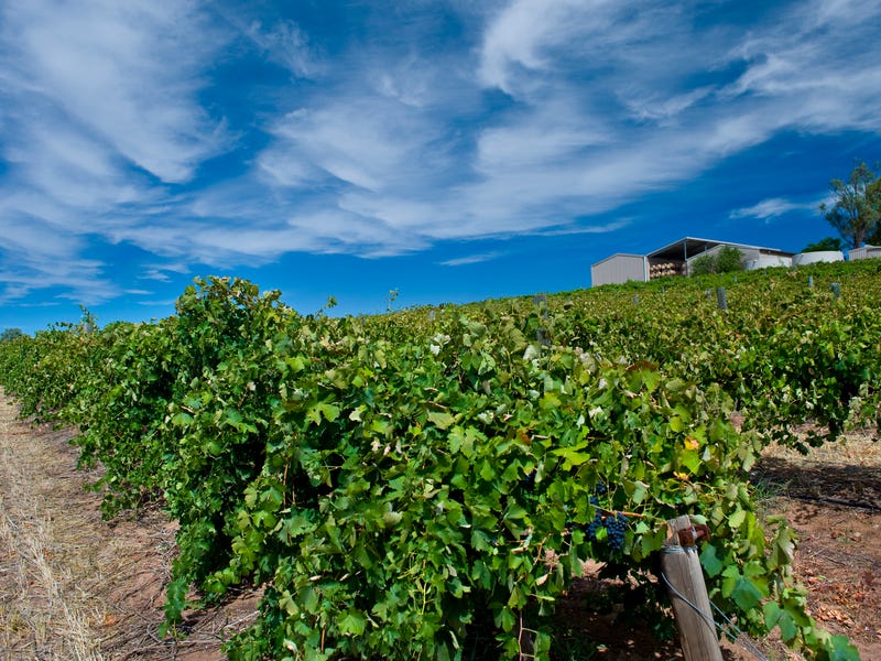 Hare's Chase, 56 Neldner Road, Marananga, SA 5355 Property Details