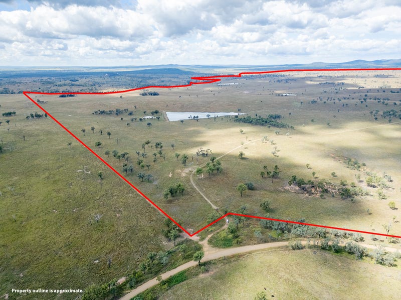 2945 Beeron Road, Mundubbera, Qld 4626 Livestock for Sale
