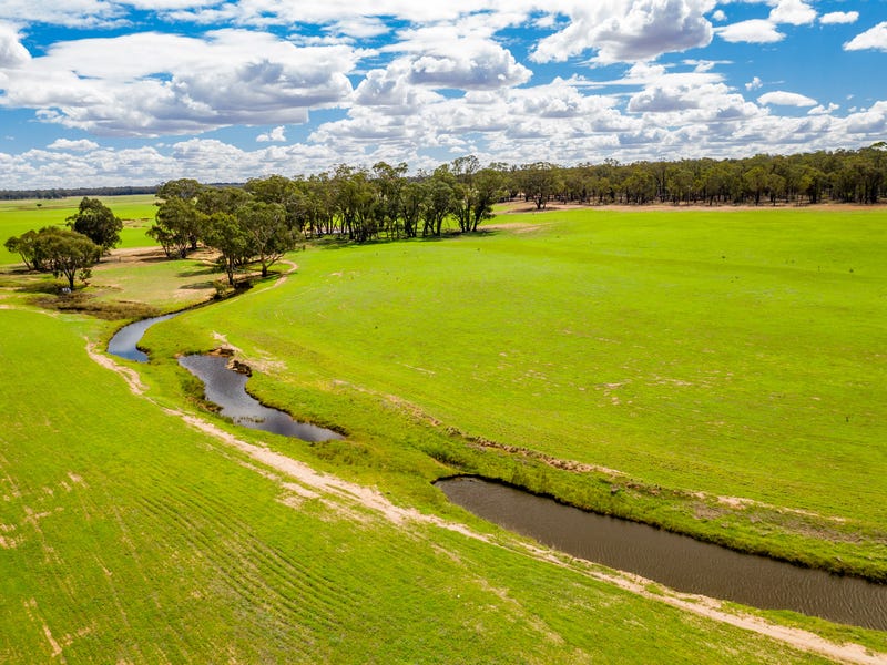 Real Estate & Property for Sale in Ariah Park, NSW 2665 Pg. 2