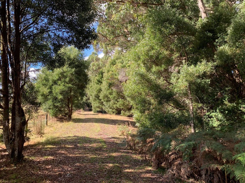 1, East Yolla Road, Henrietta, Tas 7325 Property Details