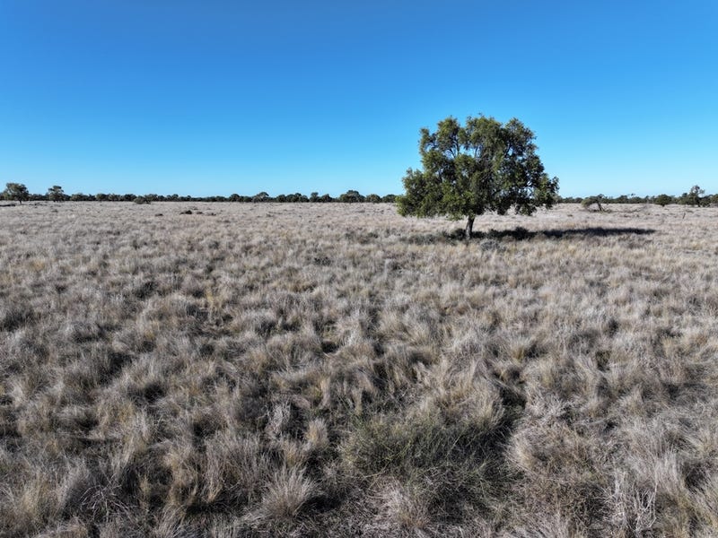 Stoney Ridge, Brewarrina, NSW 2839 Other for Sale