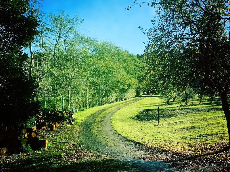 520 Pennyroyal Valley Road, Pennyroyal, Vic 3235 Property Details