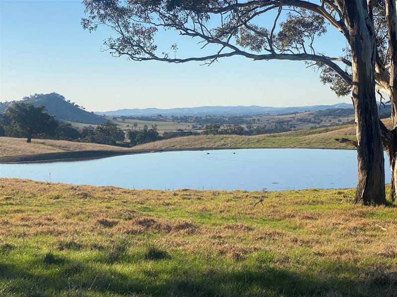 914 Queens Pinch Road Mullamuddy, Mudgee, NSW 2850 Property Details