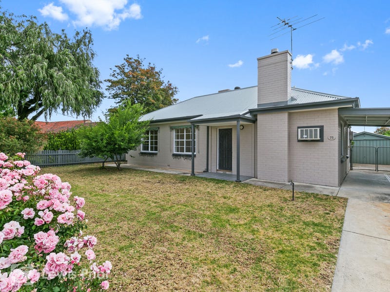 75 Pine Avenue, Glenelg North, SA 5045