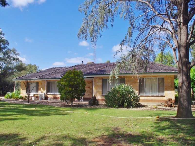 3 Railway Terrace, Renmark, SA 5341