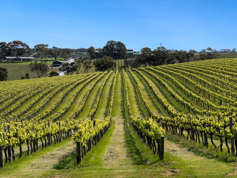 Real Estate & Property for Sale in SA (+1 location) Pg. 17 realestate