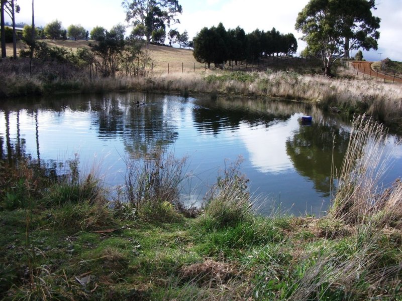 1416 Woodsdale Road, Levendale, Tas 7120 Property Details