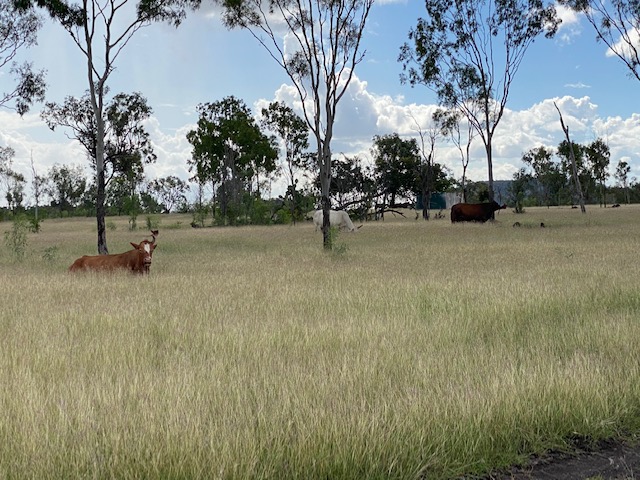 Real Estate for Sale in Rockhampton - Greater Region, QLD (+1 location ...