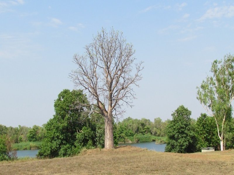 205 River Farm Road, Kununurra, WA 6743