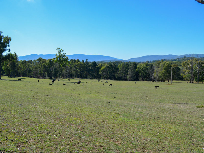 Lot 2, 260 Eacotts Road, Yellingbo, Vic 3139 Property