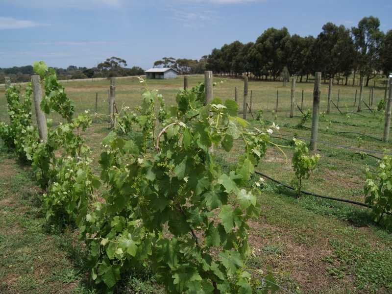 12 20 Wisbey Court, Drysdale, Vic 3222 Property Details