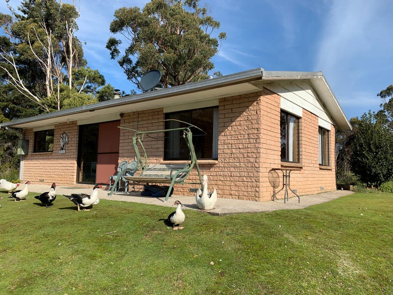 438 Lake Paloona Road, Lower Barrington, TAS 7306