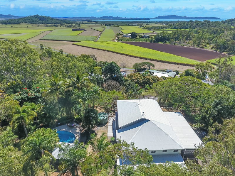 159 Olletts Road, Habana, Qld 4740 Property Details