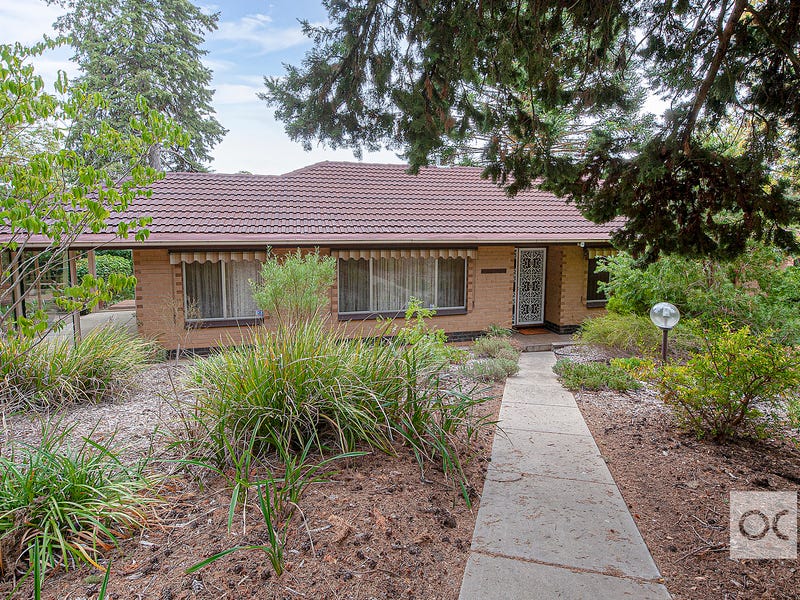 10 Blackthorn Avenue, Hawthorndene, SA 5051