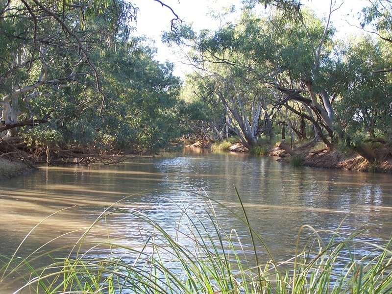 446 Nickavilla Road, Quilpie, Qld 4480 - Property Details