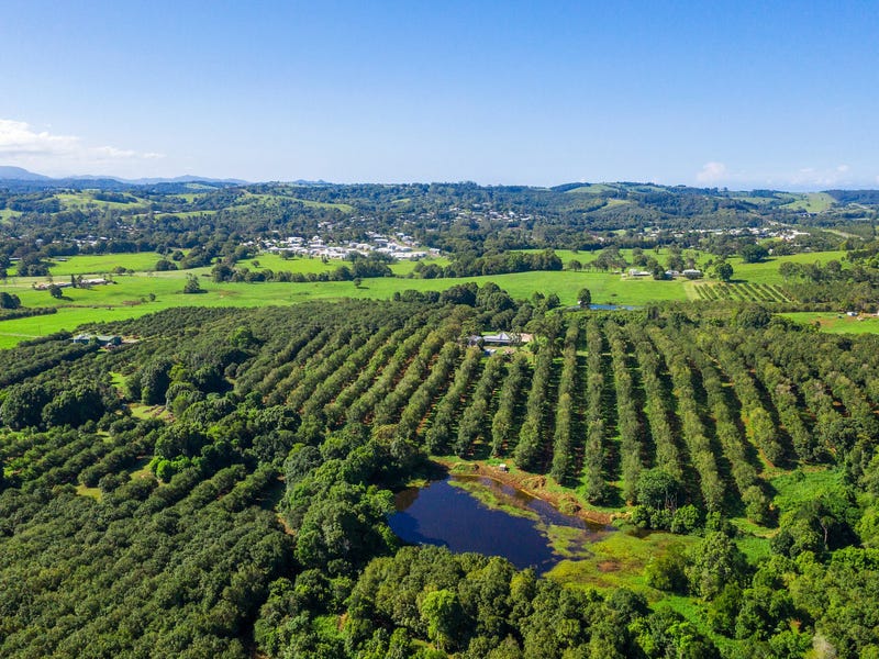 1035C Hinterland Way, Bangalow, NSW 2479 Horticulture for Sale