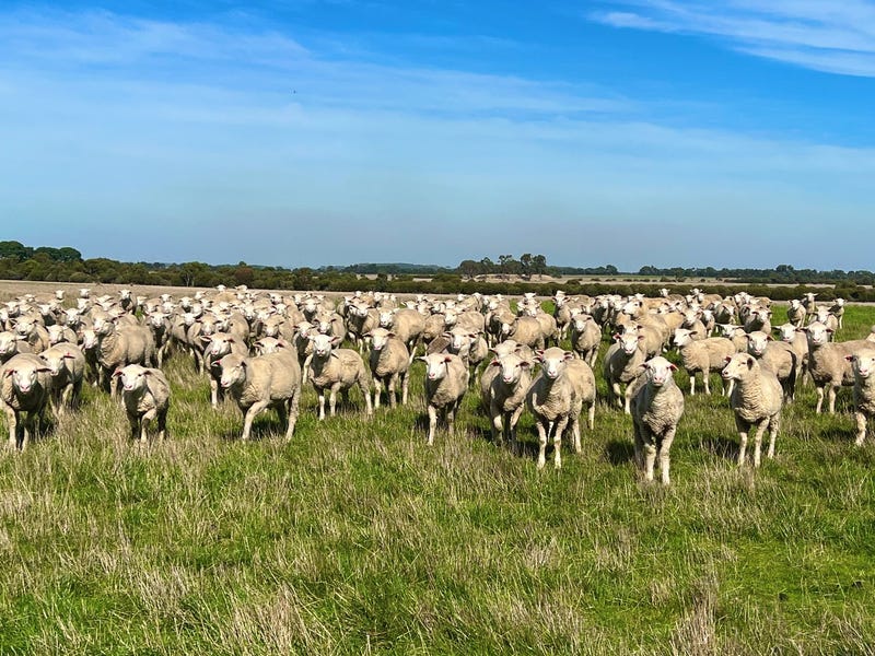 190 Woodcutters Lane, Hexham, Vic 3273 Other for Sale