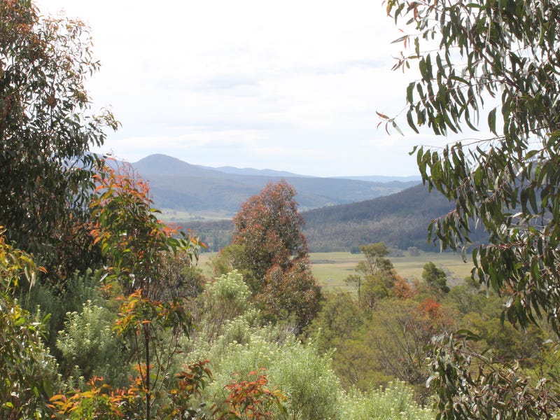 Lot 1 & 2, 223 Kain Road, Braidwood, NSW 2622 Farmlet for Sale