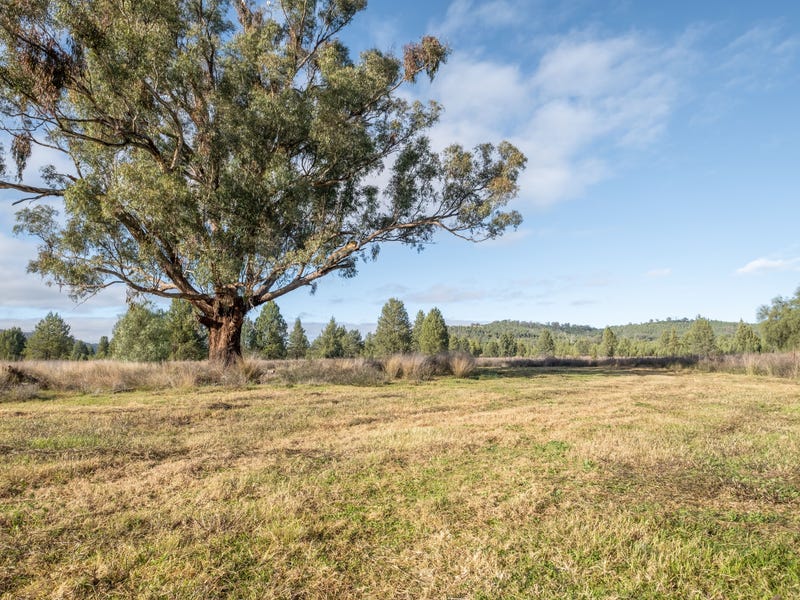 Lot 103 Inlet Road, Attunga, NSW 2345 Lifestyle for Sale realestate