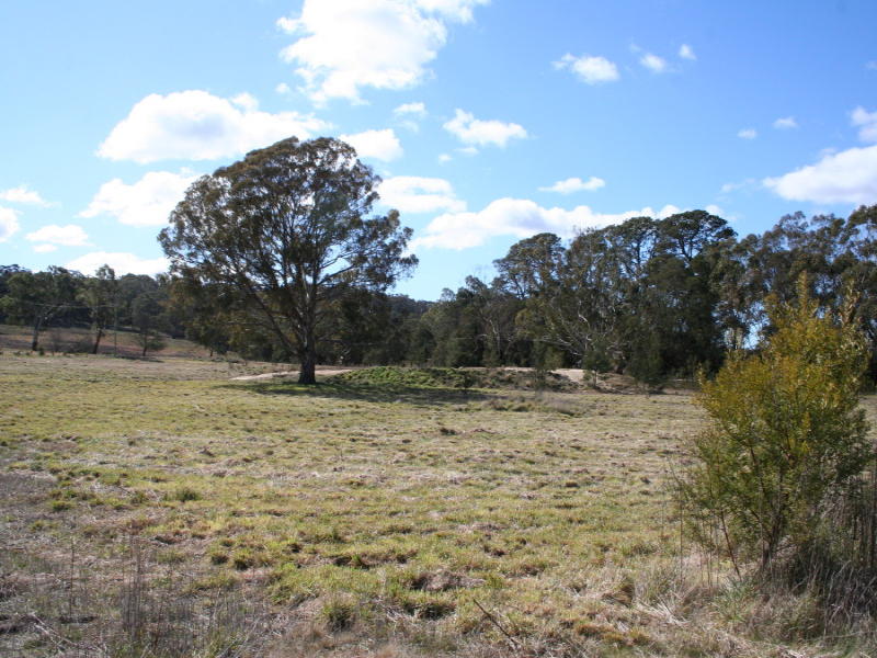 10034 Nerriga Road, Braidwood, NSW 2622 Property Details