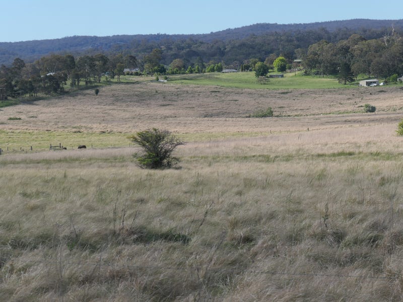409 Bellevue Road, Tenterfield, NSW 2372 Lifestyle for Sale