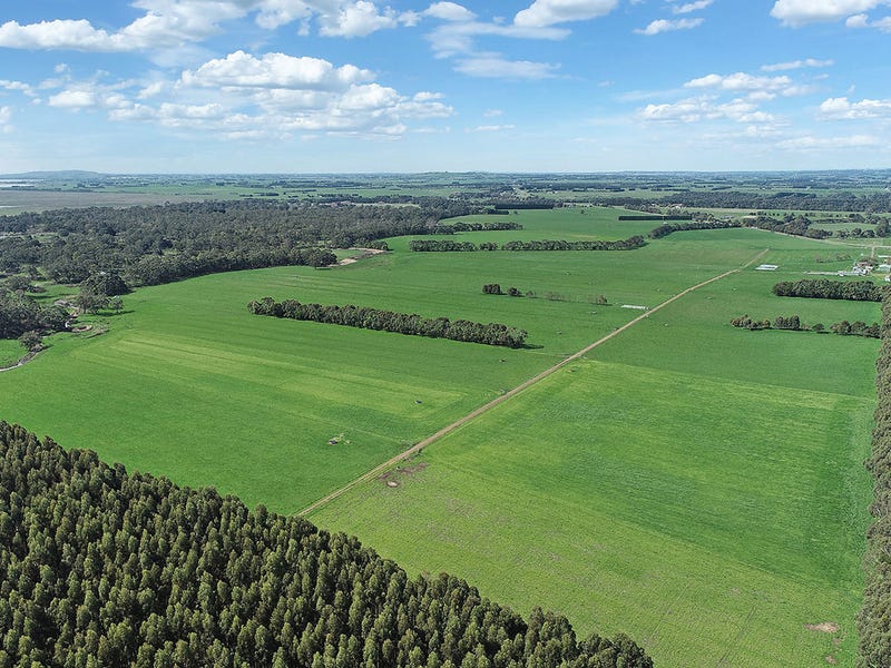 240 Swan Marsh Road, Swan Marsh, VIC 3249