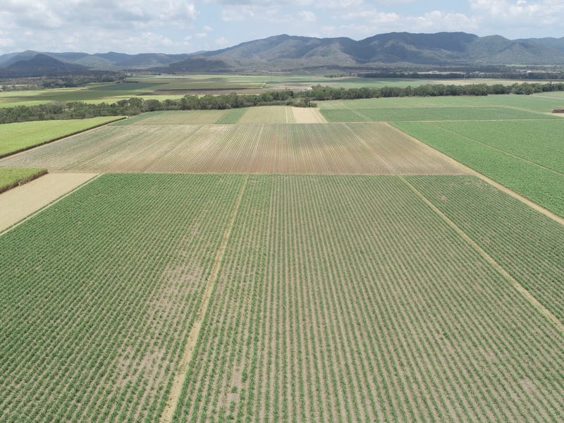 2418 SARINA HOMEBUSH ROAD, Homebush, Qld 4740 Property Details