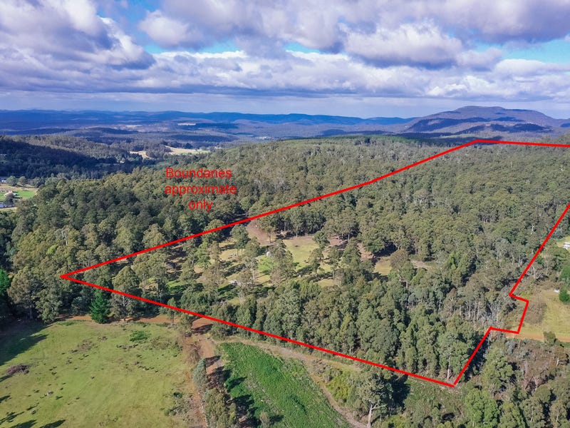 53 New Country Marsh Road, Levendale, TAS 7120