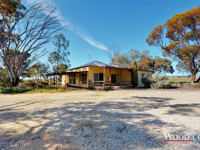 22 Hayes Road, Lake Boga, Vic 3584 Farmlet for Sale