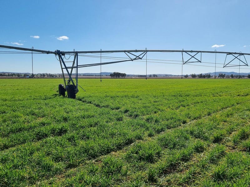 171173 Lower Somerton Road, Attunga, NSW 2345 Property Details