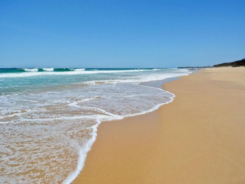 445 Oceanic Drive South, Wurtulla, Qld 4575 Property Details