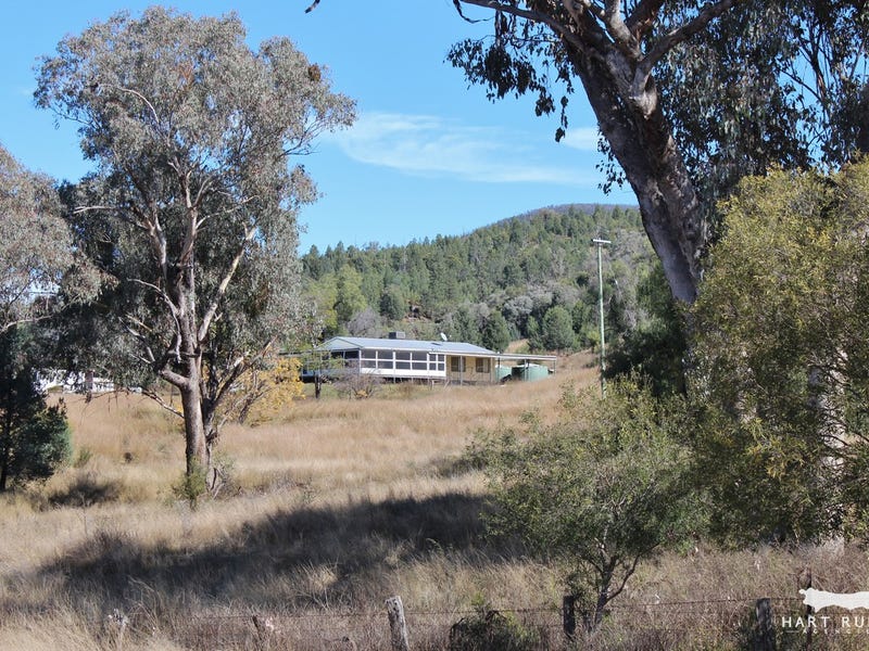 3139 Horton Road, Upper Horton, NSW 2347