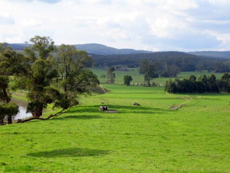 175 Moomowroong Road, Carlisle River, VIC 3239