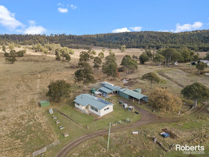 289 New Country Marsh Road, Levendale, Tas 7120 House for Sale