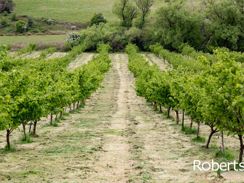 43 Turkey Farm Road, Glengarry, Tas 7275 Property Details