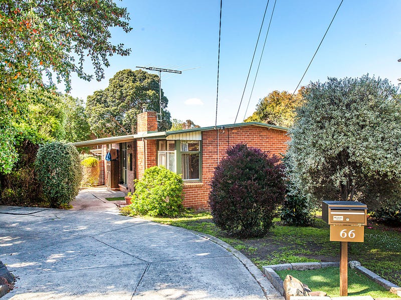 66 Albert Street, Mount Waverley, VIC 3149