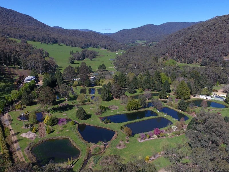 10 Stony Creek Road, Harrietville, Vic 3741 Lifestyle for Sale