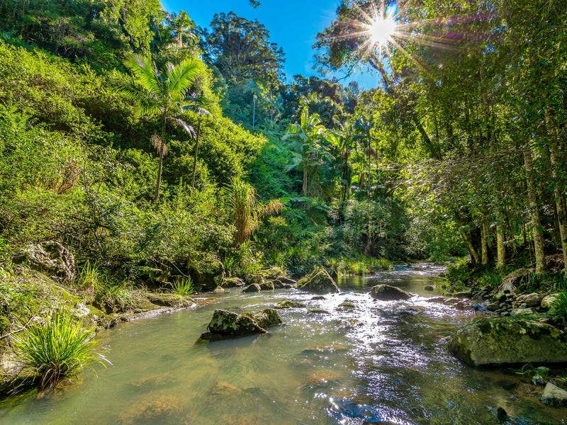 111 Upper Wilsons Creek Road, Upper Wilsons Creek, NSW 2482 Lifestyle