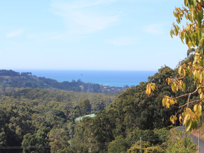 175 Bruxner Park Road, Korora, NSW 2450