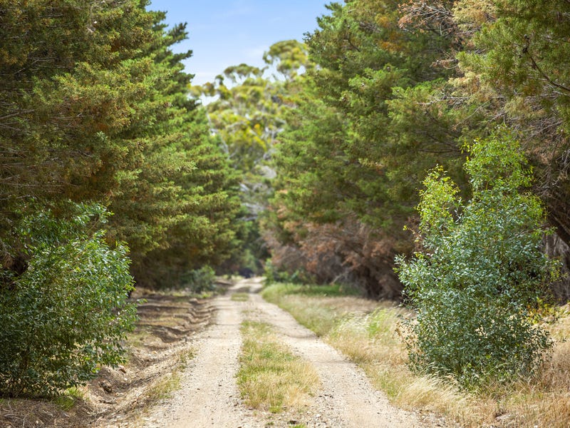 683 Bacchus Marsh-balliang Road, Balliang, VIC 3340 - realestate.com.au