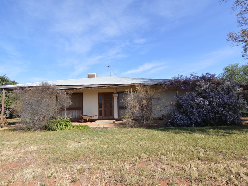 59 Jacaranda Road, Coomealla, NSW 2717