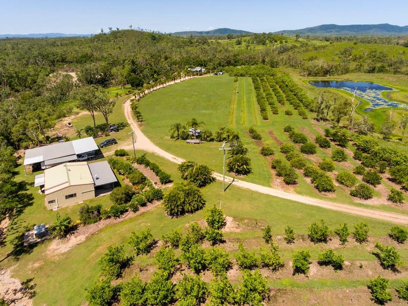 Real Estate & Property for Sale in Bloomsbury, QLD 4799