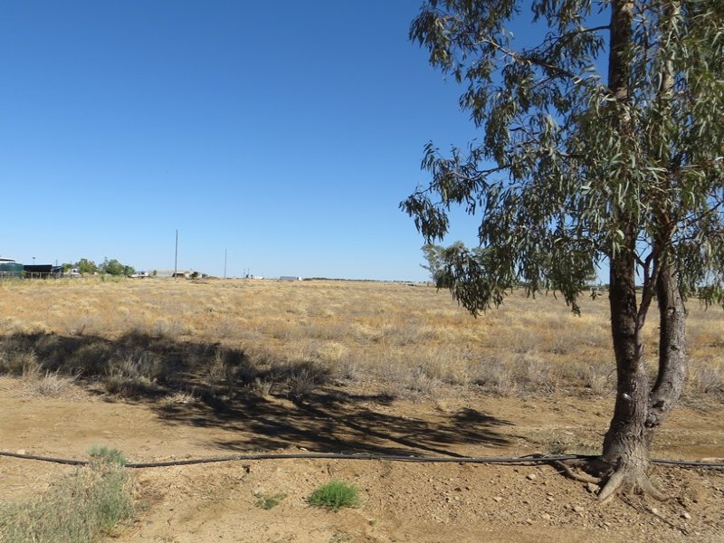 Real Estate & Property for Sale in Julia Creek, QLD 4823 realestate