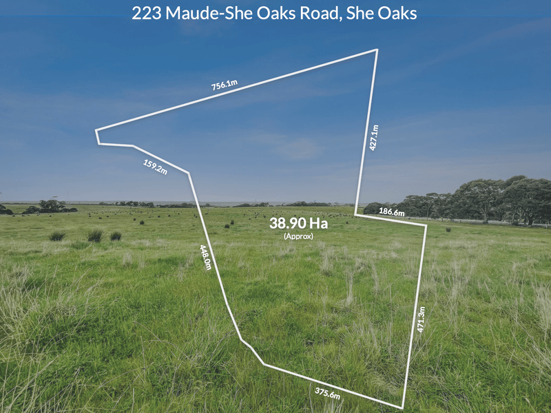 223 Maudeshe Oaks Road, She Oaks, VIC 3331