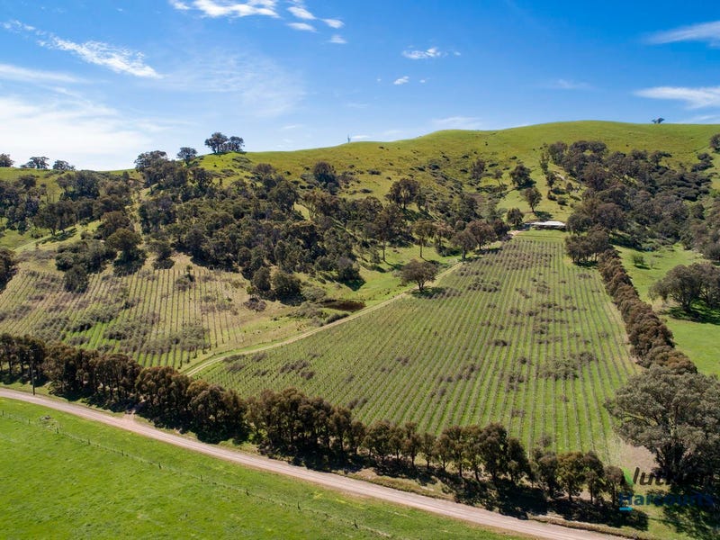 79 Siers Lane, Limestone, Vic 3717 Property Details