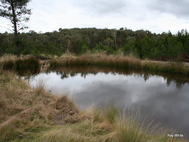 3036 Nerriga road, Braidwood, NSW 2622 Property Details