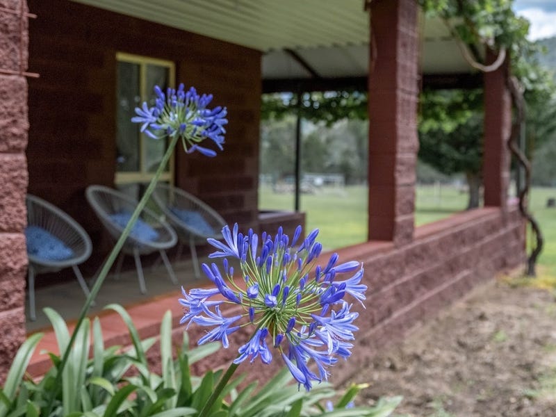 432 Attunga Forest Road, Attunga, NSW 2345 Lifestyle for Sale